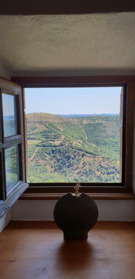La Petite Maison Des Artistes Castelnau-Pégayrols Exterior foto